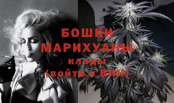 прущие грибы Зерноград