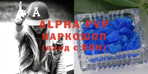 прущие грибы Зерноград