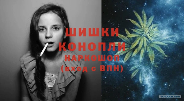 прущие грибы Зерноград