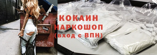 прущие грибы Зерноград